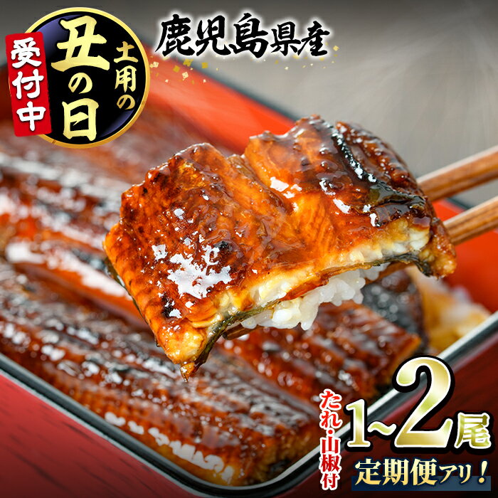 東串良町のうなぎ蒲焼(無頭) 2尾(320g以上・タレ、山椒付)