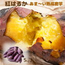 【ふるさと納税】さつまいも 紅はるか 5kg 数量限定 熟成密芋 農家直送 ねっとり 蜜のように甘ーい 清耕園ファーム 新潟県 糸魚川市 焼きいも サツマイモ