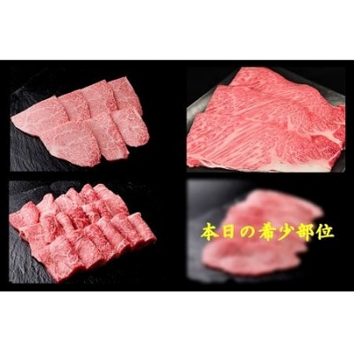 【冷凍】飛騨牛焼肉食べ比べセット(カルビ・ロース・もも・本日の希少部位　各320g)【11-37】