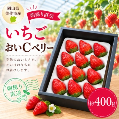 【2027年1月より順次発送】岡山県美作市産　おいCベリー(約400g)【配送不可地域：離島・北海道・沖縄県】