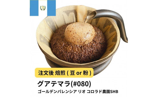 
            コーヒー #080 グアテマラ ゴールデンパレンシア リオ コロラド農園SHB 310g 当日焙煎 大山珈琲 （豆または中挽きから選択）
          