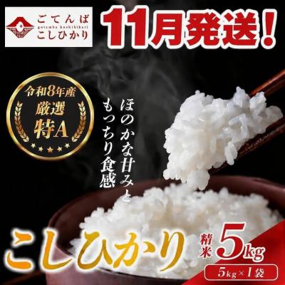 ふるさと納税 小山町 【令和8年産】米 コシヒカリ 5kg 精米 静岡県産 特A 厳選【11月発送】