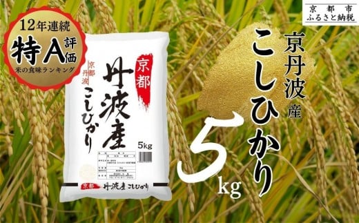 令和7年産 新米 京都丹波産 こしひかり 5kg ※米食味鑑定士厳選 ※精米したてをお届け【京都伏見のお米問屋が精米】米 令和7年産 ※沖縄本島・離島への配送不可 ※2025年11月上旬頃より順次発送予定