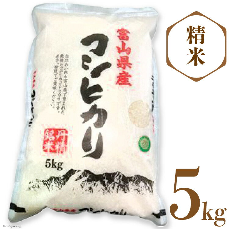 【ふるさと納税】 米 令和8年産 コシヒカリ 5kg 精米 [サンライス青木 富山県 朝日町 34310559] お米 おこめ こめ kome ごはん ご飯 こしひかり 白米 5キロ 5キロ 令和8年 富山 富山県産