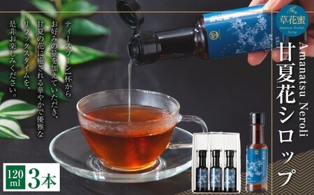 草花蜜 甘夏花シロップ 120ml 3本 （合計：360ml） ／ 甘夏 あまなつ 甘夏花 シロップ しろっぷ 炭酸割り 水割り お湯割り 紅茶割り 緑茶割り 焼酎割り 焼酎 炭酸水 炭酸 割り物 リ