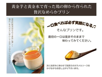 【 大阪喜安 】くがにたまごのプレミアムプリン・6個 プリン_OS186-0005