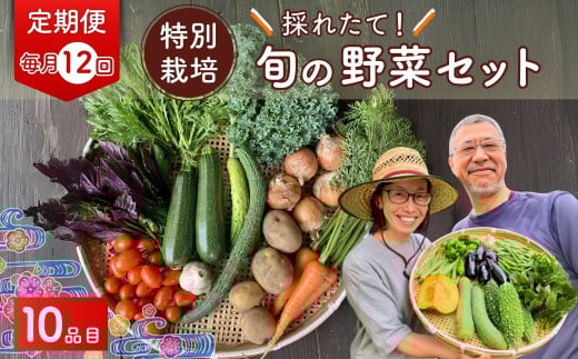 【10品目】【12カ月定期便】 特別栽培 たかしま農園 採れたて 旬の野菜セット 毎月発送  | 野菜 やさい 生野菜 おまかせ 詰め合わせ 無農薬 新鮮 季節 旬 食材 地元産 有機野菜 有機農業 農家 食育 健康 お取り寄せ 埼玉県 久喜市