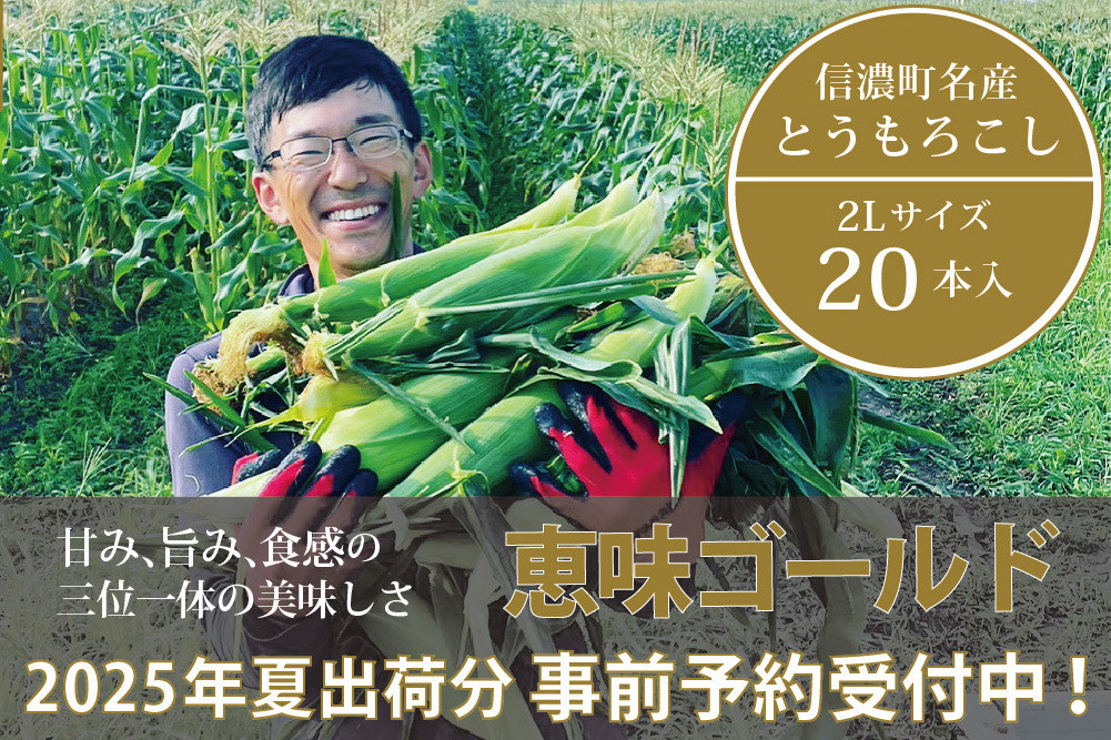 
            信濃町名産とうもろこし『落影農場の恵味（めぐみ） 20本セット』／スイートコーンの人気品種を早期予約限定で受付中！ 【2025年夏のご予約受付開始！】 令和7年7月下旬〜出荷予定 2025年夏出荷分 先行予約【長野県信濃町ふるさと納税】
          