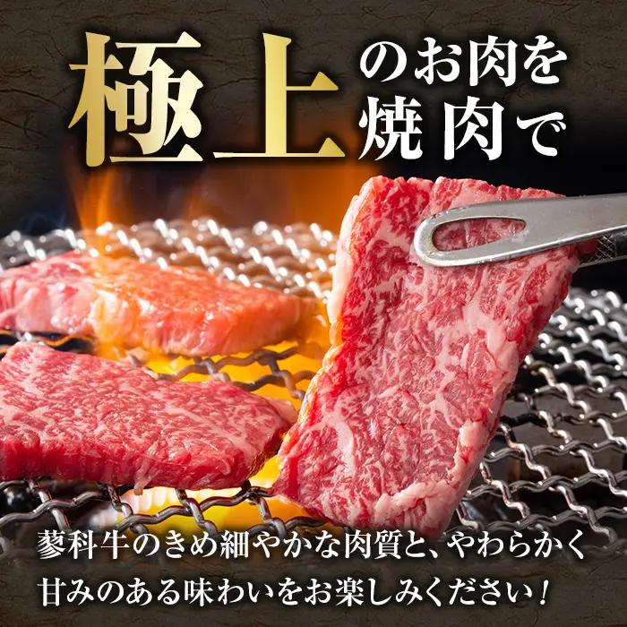 蓼科牛・立科高原豚焼肉セット（牛ロース200g×4パック、牛モモ350g×2パック、牛バラ350g×2パック、牛肩ロース400g×2パック、豚肩ロース400g×2パック）
