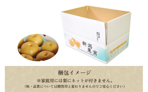 【2026年先行予約】【家庭用】新潟県産和梨 新興 約5kg（6～14玉）《12月上旬～順次出荷》 梨 なし ナシ 新興 しんこう  果物 果樹 フルーツ 樹上完熟 加茂果樹専門家集団 加茂市 想樹
