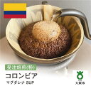 【ふるさと納税】[ 粉 ]#78 受注焙煎！ 310g コロンビア マグダレナ SUP 珈琲粉 コーヒー粉 自家焙煎 | 珈琲 コーヒー 焙煎 カフェ 大阪府大東市