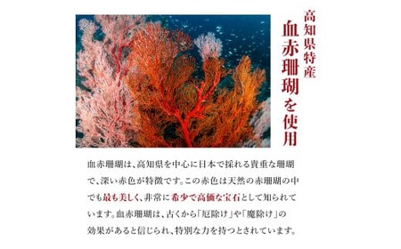 【ケンセン35】血赤珊瑚枝 アメリカンピアス / チタン｜室戸 ブランド ピアス