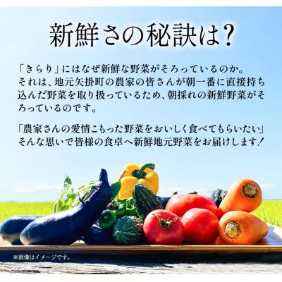 ふるさと納税 矢掛町 旬の新鮮野菜とお米詰め合わせセット 野菜5〜10品目入 青空市きらり《30日以内に出荷予定》 |  | 03