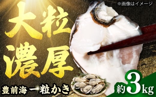 【2026年1月中旬より順次発送】 豊前海 一粒牡蠣 約3kg 吉富町/南水産 [BGBD002] 牡蠣 カキ 殻つき かき 冷蔵 牡蠣 カキ 福岡 カキ 牡蠣 かき 冷蔵