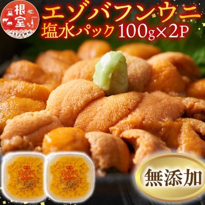 ふるさと納税 根室市 無添加エゾバフンウニ塩水パック100g×2P[10月上旬以降発送] F-20011