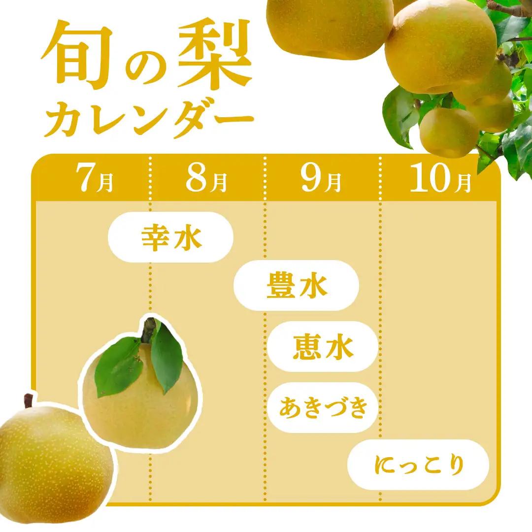 幸水 約 5kg （8～14玉） 2026年産 先行予約 梨 果物 フルーツ なし ナシ 幸水梨 くだもの デザート 茨城 [BQ019sa]