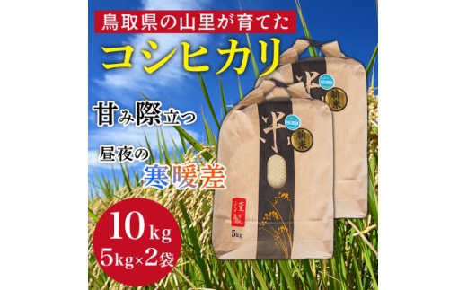 ＜令和8年産＞鳥取県産「コシヒカリ」玄米 10kg(5kg×2)【1746453】