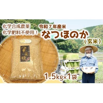 ふるさと納税 臼杵市 令和7年産米　なつほのか(玄米)1.5kg!栽培期間中、化学肥料等を使わずに育てたから安心安全!