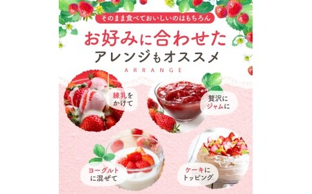 いちご 紅ほっぺ 約3000g 坂田農園