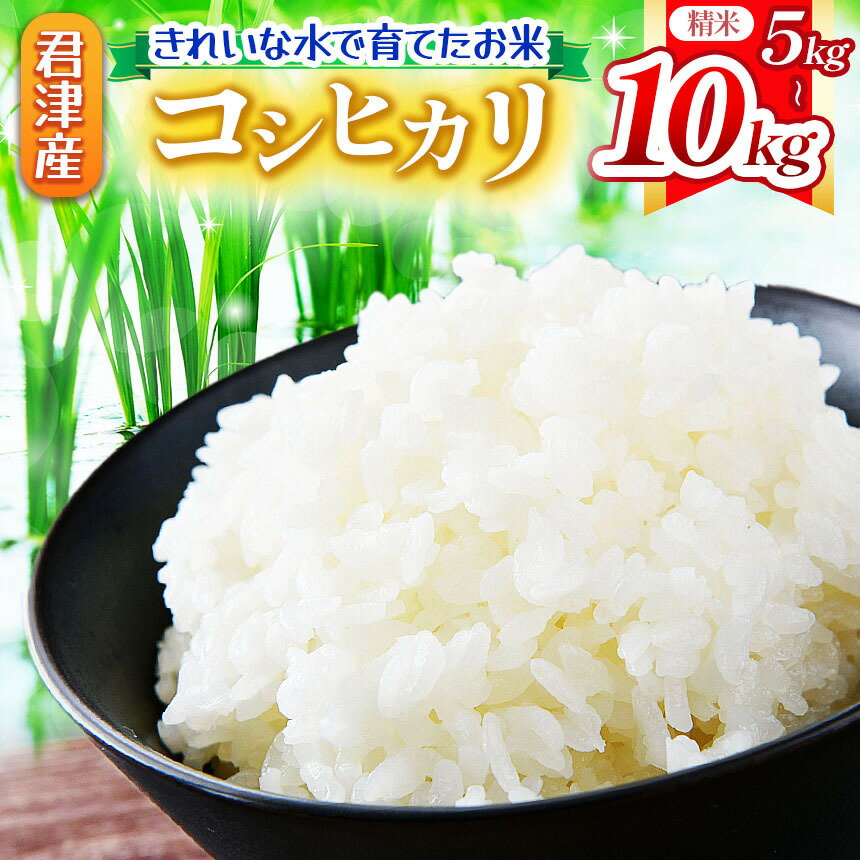 【ふるさと納税】 【 9月下旬から順次発送 】新米 令和7年産 コシヒカリ 5kg or 10kg 精米 きれいな水で育てたお米 | 保坂農場 ちばエコ農産物 君津市産 イチオシ 千葉 君津市 きみつ 房総