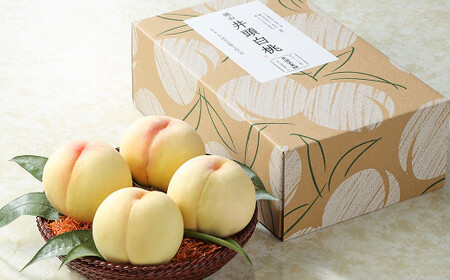 井頭栄果園 白桃 約1.3kg【2026年7月上旬～8月上旬まで順次発送予定】【もも 果物 フルーツ 国産 人気 おすすめ 岡山県 倉敷市】