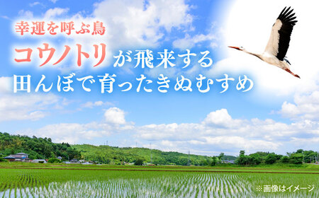【全3回定期便】【新米】大月谷コウノトリやすらぎ米 5kg 島根県雲南市/有限会社藤本米穀店 ｜ブランド米 きぬむすめ 白米 精米 コメ 5キロ[AIDB138]