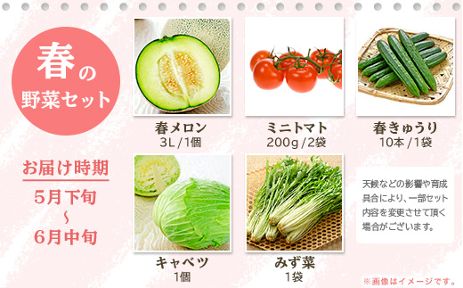 657 茨城町 春の野菜セット メロン トマト きゅうり キャベツ みず菜