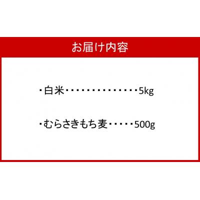 ふるさと納税 国東市 らいむ工房のむらさきもち麦500gと白米5kg_2506R |  | 02
