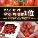 【ふるさと納税】 甘い！ 美味い！『 めんこいトマト』 フルーツトマト 1kg 1000g 品種 フルティカ [ 新鮮 アイメック 次世代農法 今旬トマト番付 1位 獲得 フルーツ トマト 野菜 農業 岩手 陸前高田市 先行予約 2025.1月から順次発送 ] ★ テレビ で 紹介 されました！