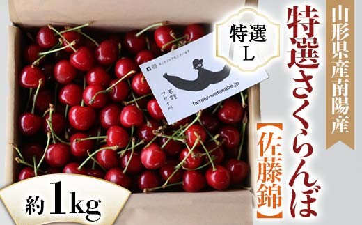 【令和8年産先行予約】 さくらんぼ 「佐藤錦」 約1kg (特選 L玉) バラ詰め 《令和8年6月中旬～発送》 『最上園』 サクランボ 果物 フルーツ 産地直送 山形県 南陽市 [1334]