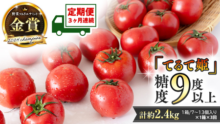 《 テレビで紹介 》【 2026年収穫分 先行予約 】【 3回 定期便 】 糖度9度以上 スーパーフルーツトマト てるて姫 小箱 約800g × 1箱 × 3回  [BC052sa]