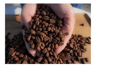 スペシャルティコーヒー豆100g×2種 (浅煎り・中煎り) +カイマナブレンド  ドリップパック 5袋