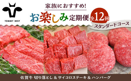 【12回定期便】佐賀牛 少人数 家族向け お楽しみ 定期便 /牛肉 お肉 肉 切り落とし ステーキ ハンバーグ 食べ比べ 詰め合わせ 九州 [IAH217]