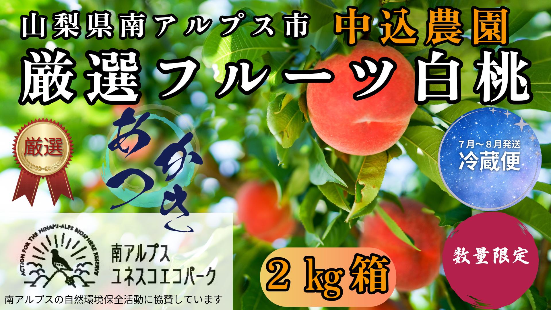 
                  ＜2026年発送先行予約＞ 山梨県南アルプス市産 厳選桃 (あかつき) 2kg ALPEM006
                