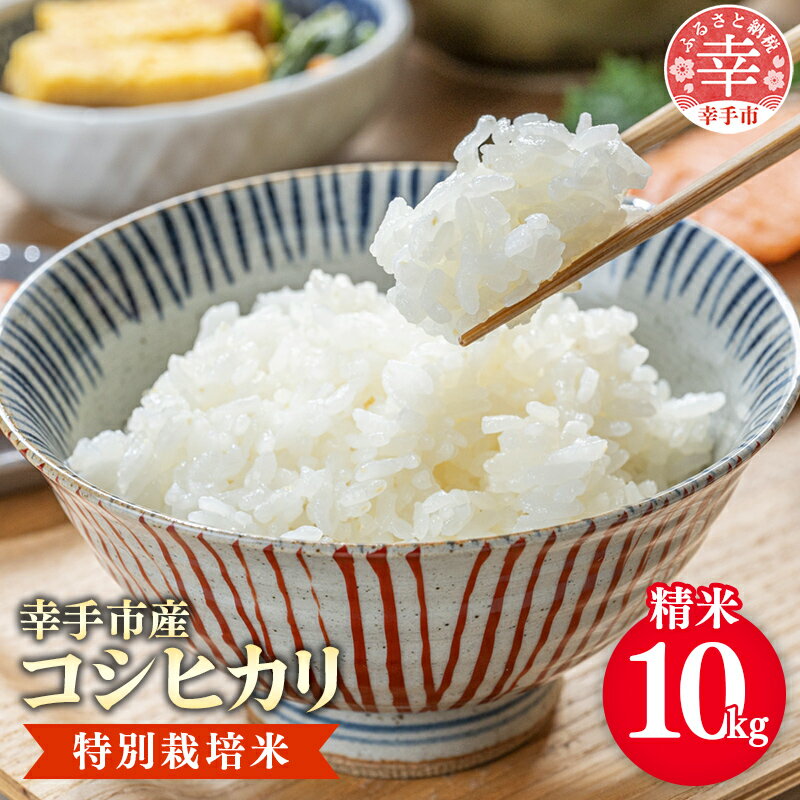 【ふるさと納税】【令和7年産】有機肥料100％ 埼玉県幸手市産特別栽培コシヒカリ 精米10kg -2025年10月1週目より順次発送 新米発送 コシヒカリ こしひかり 米 精米 10kg 有機肥料 特別栽培米 幸手市産 埼玉県 幸手市