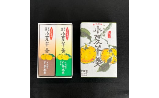 小夏羊かん（小）2本入り（小豆餡・てぼ餡 各1本）羊羹 ようかん 和菓子 お菓子 おかし おやつ スイーツ こなつ あずき 土佐銘菓  お取り寄せ
