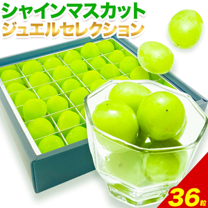 シャインマスカット ジュエルセレクション 36粒【2025年先行予約】ぶどう 岡山県産《9月上旬-11月中旬頃出荷(土日祝除く)》 ハレノフルーツ マスカット 送料無料 岡山県 浅口市 フルーツ 果物 贈り物 ギフト 国産 岡山県産 くだもの【配送不可地域あり】