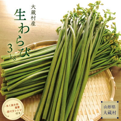 【ふるさと納税】大蔵村産　生わらび3kg