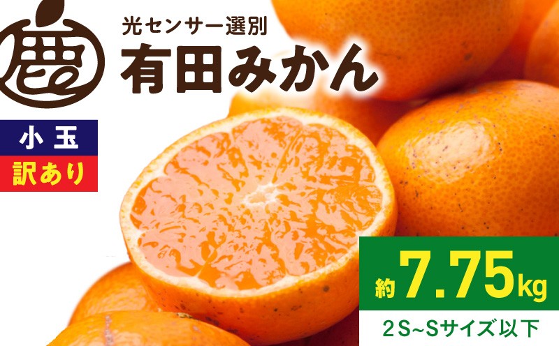 
                  【2026年先行予約】 訳あり 小玉 有田みかん 約 7.5kg 2S～Sサイズ以下 サイズ混合 和歌山県産 みかん フルーツ 果物 小玉みかん 温州みかん 産地直送 光センサー選果 濃厚 家庭用 果汁 和歌山県 湯浅町 送料無料 _ZH7062
                