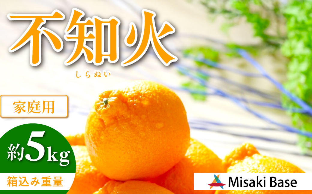 
            【先行受付】【家庭用】不知火（しらぬい） 5kg ※離島への配送不可（2026年2月中旬より順次発送）  【 ふるさと納税 人気 おすすめ ランキング みかん 柑橘 ミカン 蜜柑 mikan 果物 不知火 しらぬい フルーツ 糖度 甘い でこぽん デコポン でこぽんと同品種 家庭用 おすそ分け Misaki Base 愛媛県 伊方町 送料無料 】 IKTAB003 
          