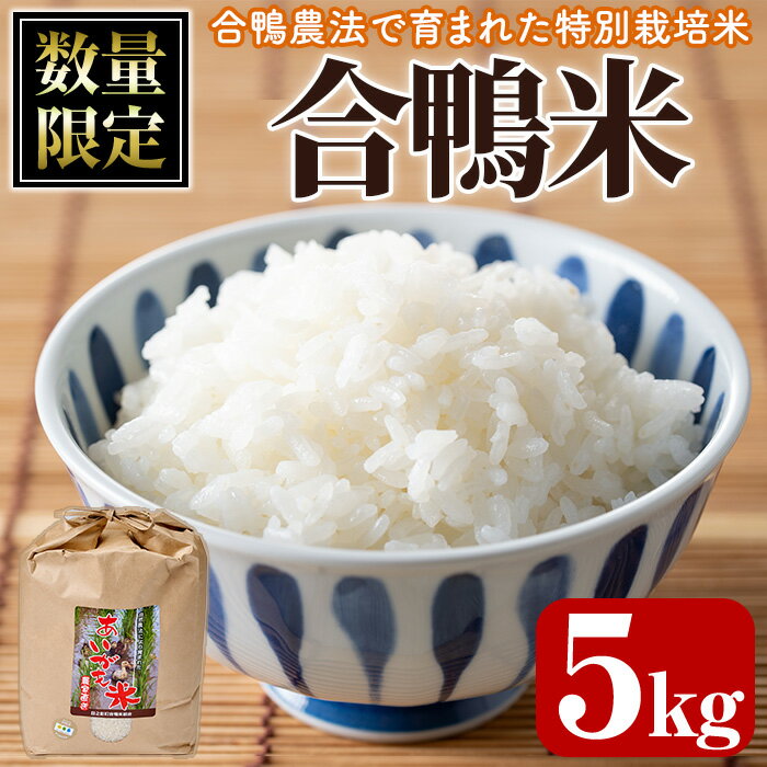 【ふるさと納税】＜ 新米 ・ 令和7年産 ＞＜数量限定＞ 合鴨 米 (5kg×1袋) 白米 精米 国産 ご飯 アイガモ 合鴨農法 5kg お米 ごはん【MU007】【日之影町村おこし総合産業(株)】