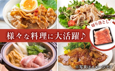 【きめが細かくやわらかい】若楠三元豚 切り落とし ハンバーグ セット 総計1.1kg [UBH010] 肉 国産豚肉 豚 ブタ 豚肉 豚肉1.1kg ブランド豚肉 九州産豚肉 冷凍豚肉 三元豚肉 豚肉