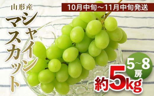 山形の大粒シャインマスカット 秀品 約5kg(5～8房)[10中旬～11月中旬発送] 【令和6年産先行予約】FS21-636