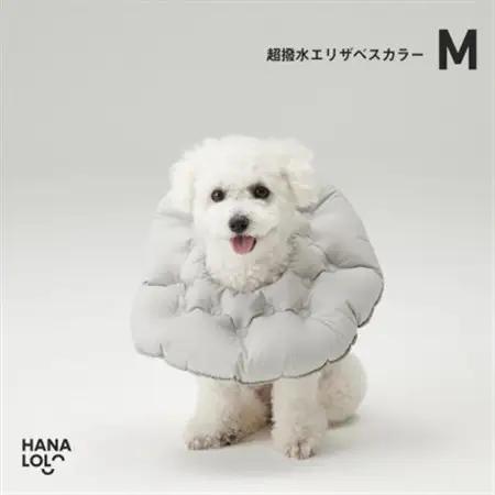 【ハナロロ】エリザベスカラー M(アッシュグレー)【1645429】