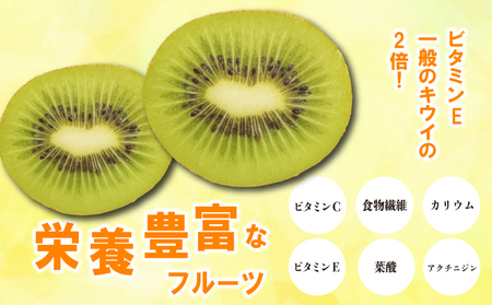 さぬきキウイっこ 約1.3kg 先行予約 サイズ混合 キウイ