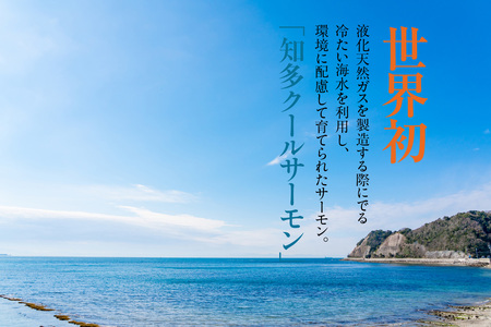 知多クールサーモン（スモーク加工品　200g×3パック） 数量限定 スモークサーモン 鮭 さけ 魚 海鮮 魚介類 おつまみ スモーク オードブル おかず 惣菜 お取り寄せ 冷凍 国産 燻製 愛知県 知