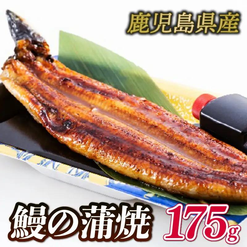 国産鰻の蒲焼1尾175g冷凍 うなぎ GZ