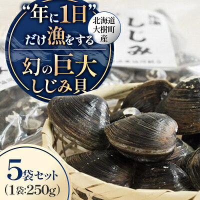 【ふるさと納税】【数量限定】幻の「巨大しじみ貝」5袋セット(250g×5袋)【配送不可地域：離島】【1542036】