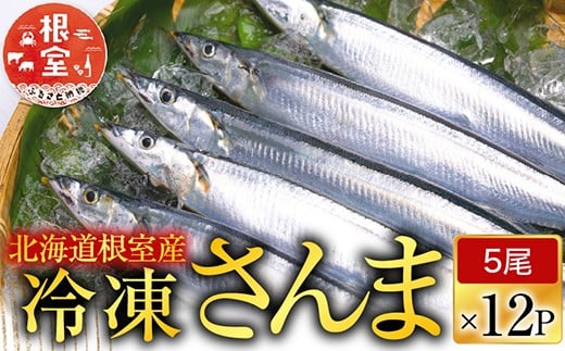 D-70002【12/21まで年内配送】 【北海道根室産】冷凍さんま60尾