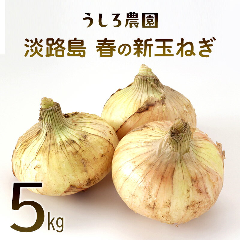 【ふるさと納税】【選べる！】淡路島 春の新玉ねぎ 3kg ～ 10kg 早生 新玉ねぎ 玉ねぎ たまねぎ 玉葱 オニオン 野菜 肉厚 ジューシー スライス ホイル焼き レンジ調理 バター醤油 旬 兵庫県 洲本市 淡路島　お届け：2027年4月中旬～5月下旬